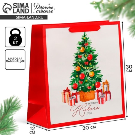Package Gift New Year Laminated Square Happiness, 30 x 30 x 12 cm, new year
