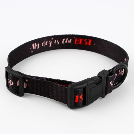 Collar My Dog is the Best, fastener - Fastex, 2 cm 25-40 cm-3