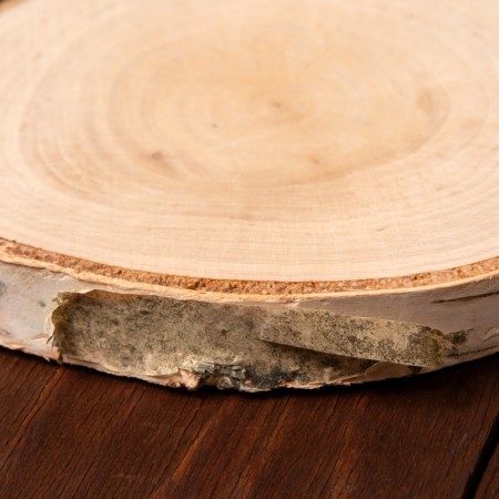 Cut "birch", 11-14 cm-2