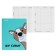 Universal diary for grade 1-11 "Noven Gani!", Firm cover, artificial leather, silkography, lies, 80 g/m2