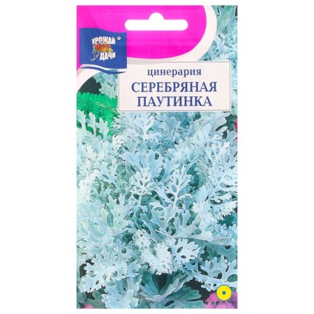 Flowers of Cineraria "Silver Web", 0.1 g