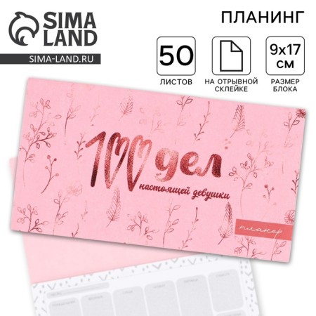 Glider with tear -off sheets "100 cases", 50 sheets