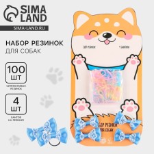 A set of gum for dogs 
