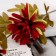 Artificial flowers "Cactus dahlia" d-3.5 cm 40 cm burgundy