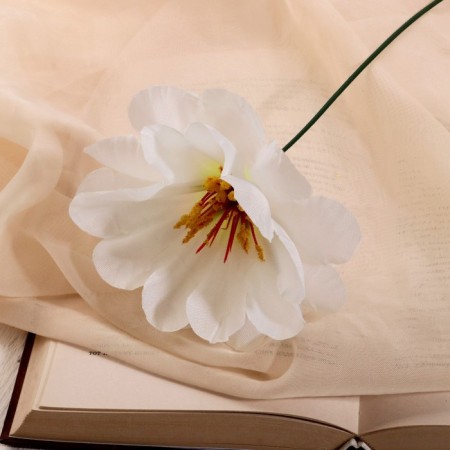 Artificial flowers "Loner Chrisp" D-11 cm H-20 cm, white
