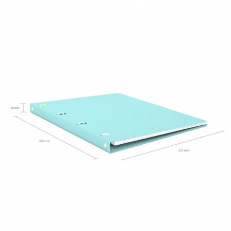 Notebook on A4 rings, 80 sheets in the Erichkrause "Pastel Mint", plastic cover, offset unit, whiteness 100%, mint-5