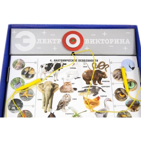 Elepertured "Living Nature"-2