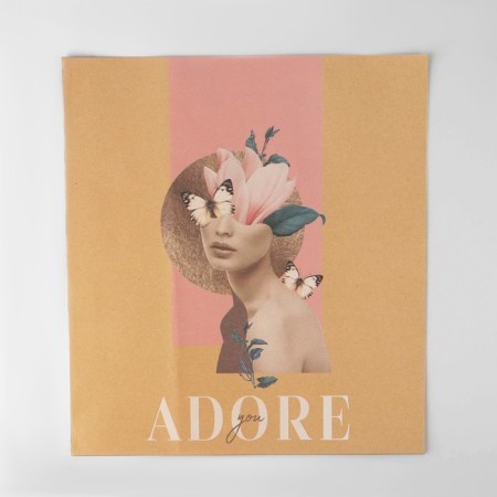 Package Pickle Package packaging "Adore", 30 x 40 x 6 cm-3