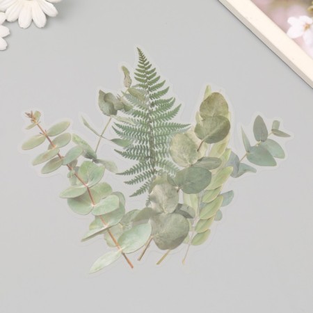 Plastic stickers "leaves and quotes. Green" set 12 pcs 8.5x21.5x0.2 cm