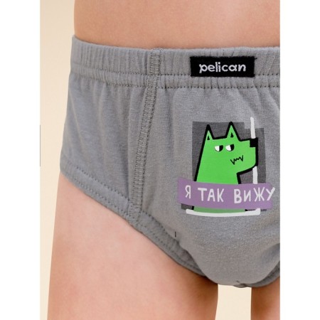 Panties for boys, height 128 cm, black color, gray, 3 pcs-1