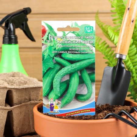 Seeds of the cucumber "Chinese snake", medium -lasting, bee -legged, 10 pcs