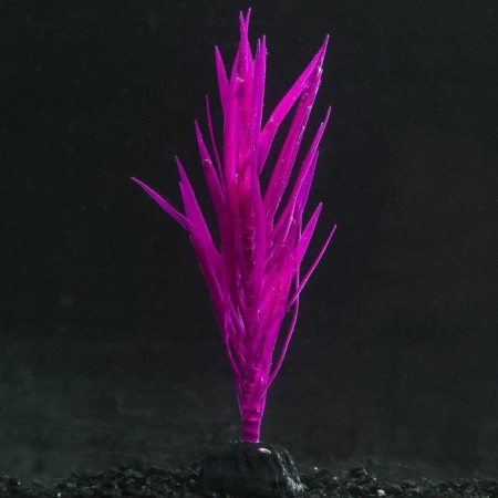 Silicone aquarium plant, luminous in the dark, 7 x 12.5 cm, purple