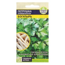 Seeds of parsley leaf 
