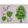GEF. The world in pictures. Trees and leaves. Minisheva T.