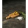 Groot board for canapes and a fudfoto dilan, rectangular, 15 × 7 × 1.6 cm, solid beech