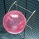 A ball for rodents on a metal base, 12 cm, pink
