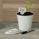 Garden signs for marking, 10 cm, with a marker, set of 25 pcs., Plastic, mix