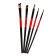 Set of brushes nylon 5 pieces: 3 round, 2 flat
