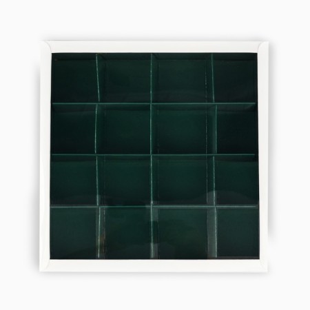 Box for 16 sweets with the cells "New Year's Botanika", 19 x 19 x 3 cm, New Year-2