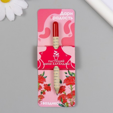 Growing gift pencils mini give joy "clove"