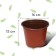 Pot for seedlings, 1.56 l, d = 16 cm, h = 13 cm, terracotta, Greengo