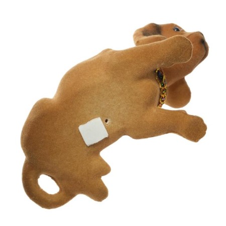 Dog on a car panel shocking his head, a large, brown color-2