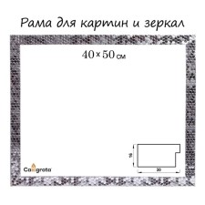 Frame for paintings (mirrors) 40 x 50 x 2.7 cm, plastic, calligrata 651628, silver