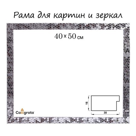 Frame for paintings (mirrors) 40 x 50 x 2.7 cm, plastic, calligrata 651628, silver