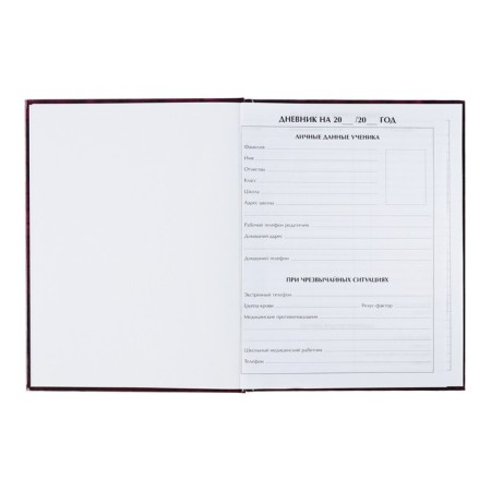 Universal diary for grades 1-11, Smile 2, solid cover 7BC, glossy lamination, 40 sheets-4