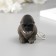 Light light on the Ring "Gorilla" opens his mouth