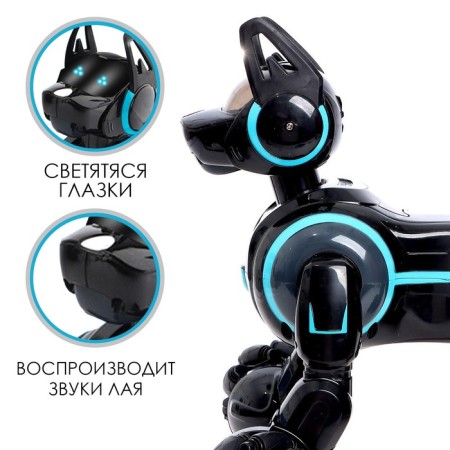 Robot dog Stunt, on the control panel, interactive: sound, light, on the battery, black-4