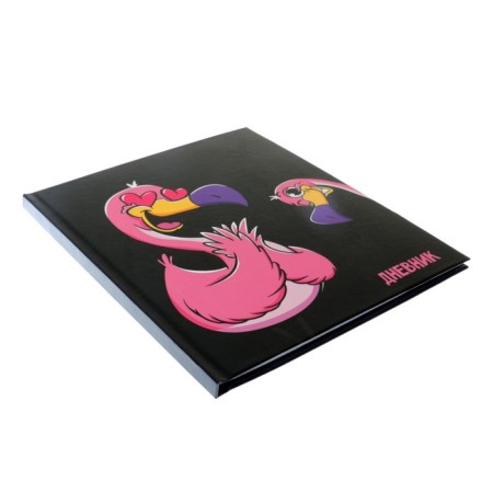 Universal diary for grades 1-11, "in love", solid cover 7BC, glossy lamination, 40 sheets-2