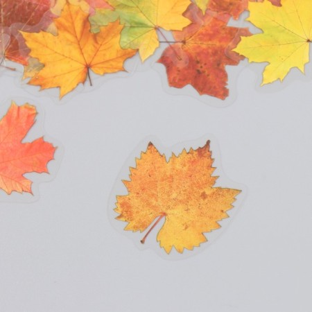 Stickers for creativity plastic "Maple leaves" set 40 pcs 0.3x8x14.8 cm-1