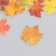 Stickers for creativity plastic "Maple leaves" set 40 pcs 0.3x8x14.8 cm