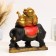 Piggy bank "Hotty on the buffalo" red gold, 22x44x37cm