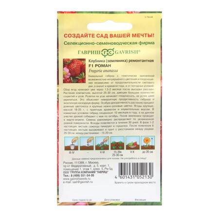 Strawberries "Roman", F1, 5 pcs.-1