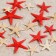 A set of natural sea stars, 1.5 - 2.5 cm, 20 pcs, red - white