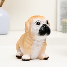 Pig a piggy bank 