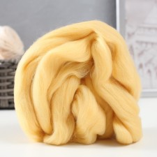 Fasting wool 100% half -toned wool 50 g (031 champagne)