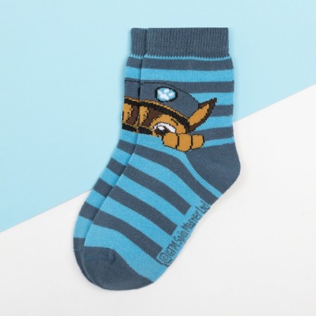 Puppy patrol. Socks PAW Patrol "Gonchik", blue/blue, 16-18 cm-1