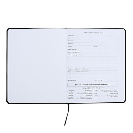 Universal diary for grade 1-11 YES I’M Different, integral cover, artificial leather, silk-screen printing, liesse, 80 g/m2-3