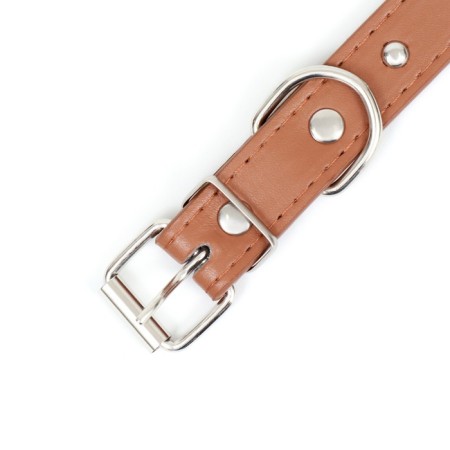 Cleaned -leather riveted collar, 46 x 1.9 cm, mix of flowers-4