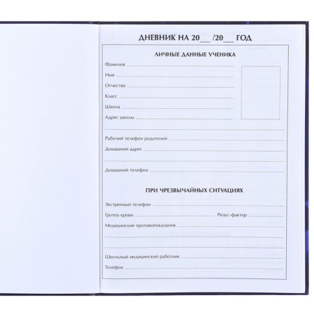 School diary, grade 1-11 in a hard cover, with embossing, 40 l, cold heart-2