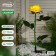 Garden lamp on the sunny battery "Rosa Yellow", 75 cm, 5 LED, glow white glow
