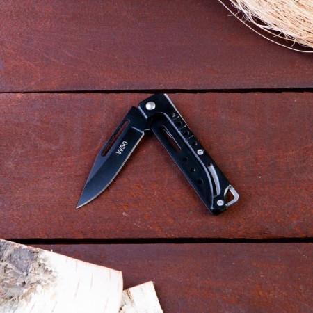 Folding "Lynx" 16.5cm, blade 75mm/1mm, mix-1
