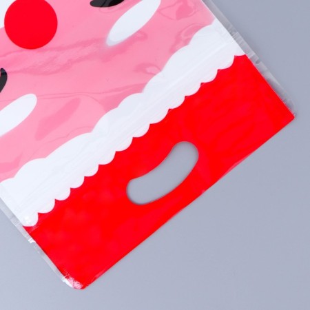 New Year. Gift package, with zip-lock fastener, "Santa Claus", 15x23 ± 1cm.-3