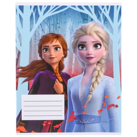A set of first grader in the folder, cold heart, 30 objects-25