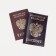 Cover for passport, dark purple color