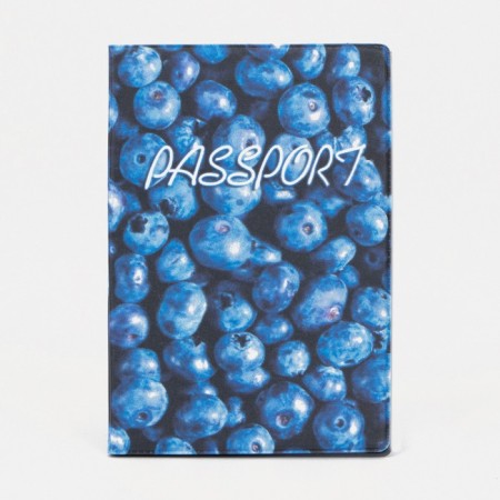 Cover for passport, blue color