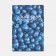 Cover for passport, blue color